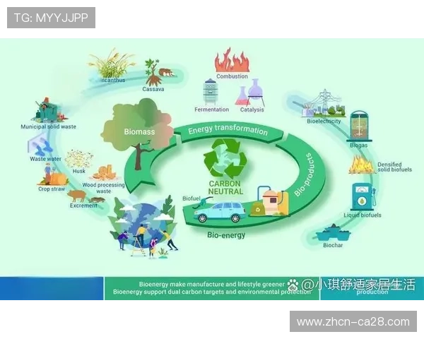 新政策引导资源倾斜，促进区域间内容生态均衡发展